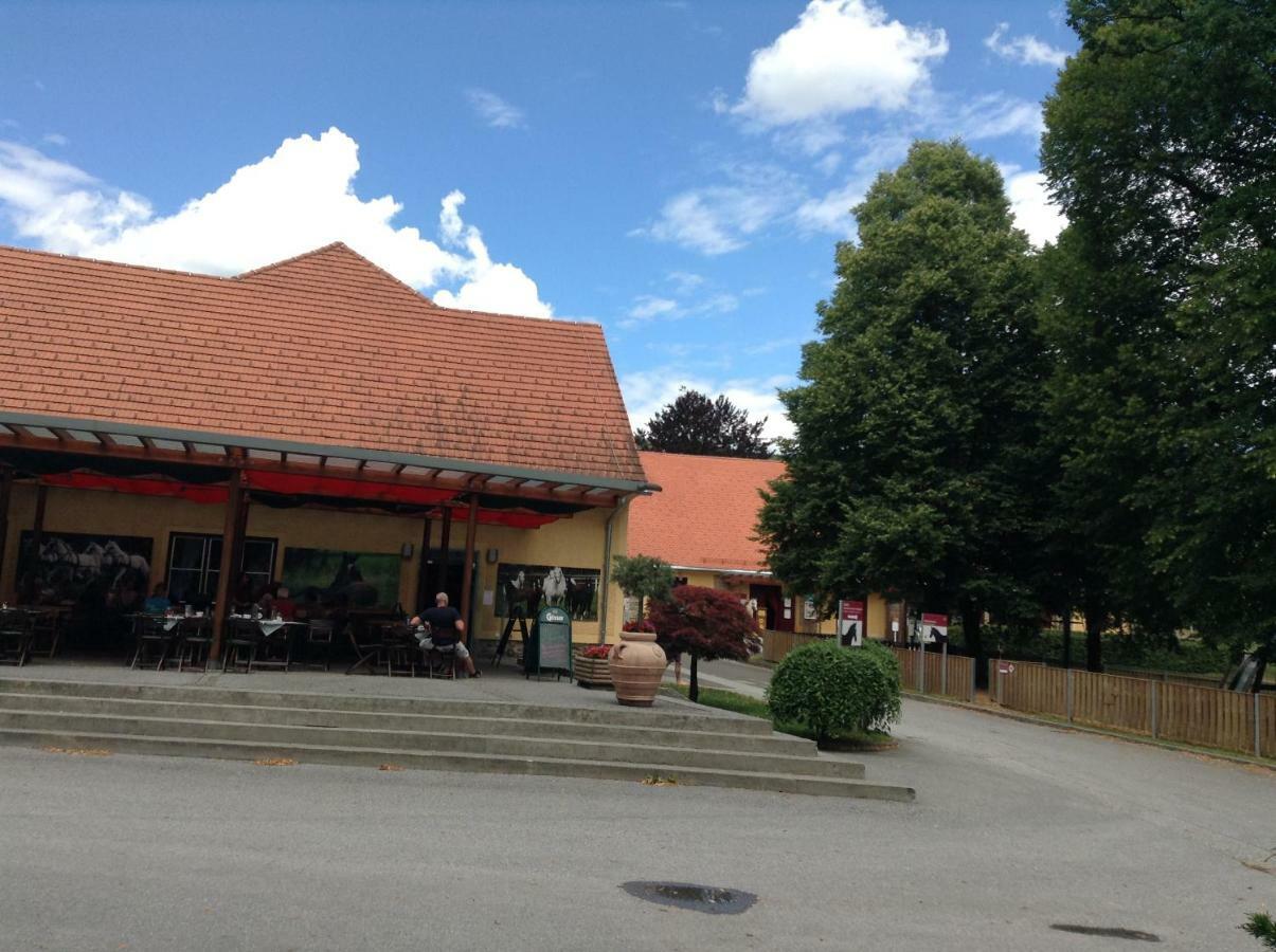 Weststeirische Ferienwohnung Piber Kültér fotó